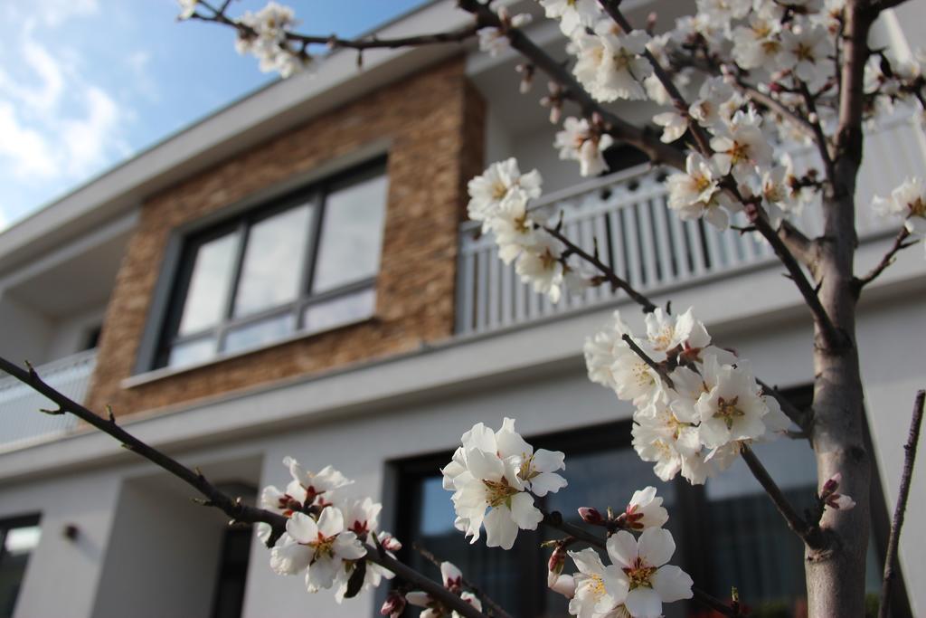 Haus Renee Bed & Breakfast Podersdorf am See Ngoại thất bức ảnh